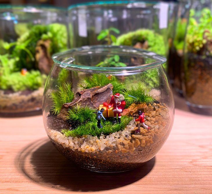 K85 催事イベント Terrariums(テラリウムス) ｜SEIBU SOGO