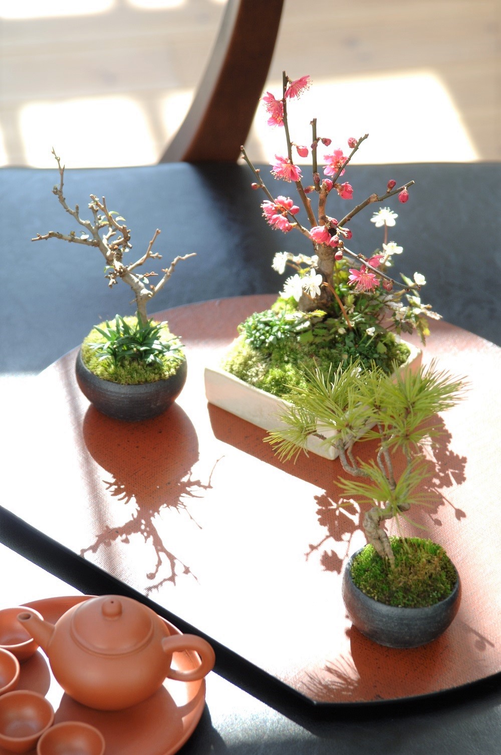 I5 そごう大宮店 盆栽 清香園 「彩花盆栽教室」｜SEIBU SOGO