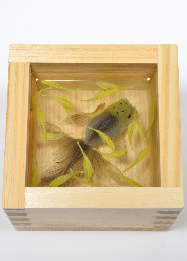 金魚酒（一合枡） | 深堀隆介 買取・作品 | 現代アート、絵画