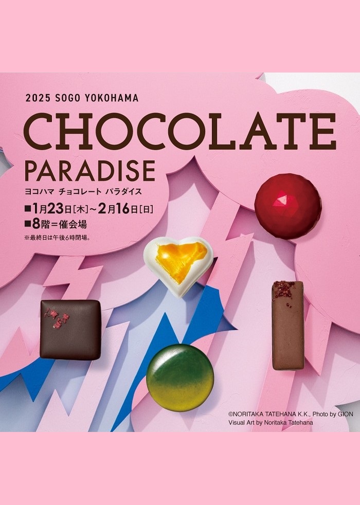 チョコホリ imgrc0110578714.jpg